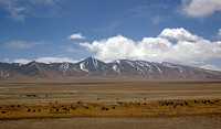 Pasture, Tibet