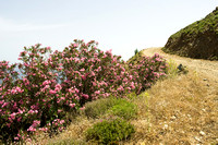 On  Crete